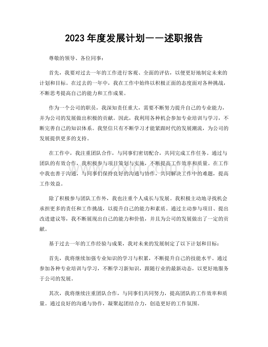 2023年度发展计划――述职报告.docx_第1页