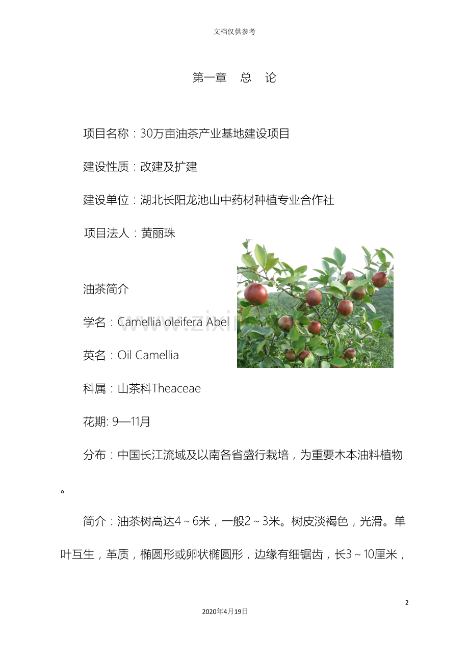 油茶建设项目可行性研究报告.doc_第2页