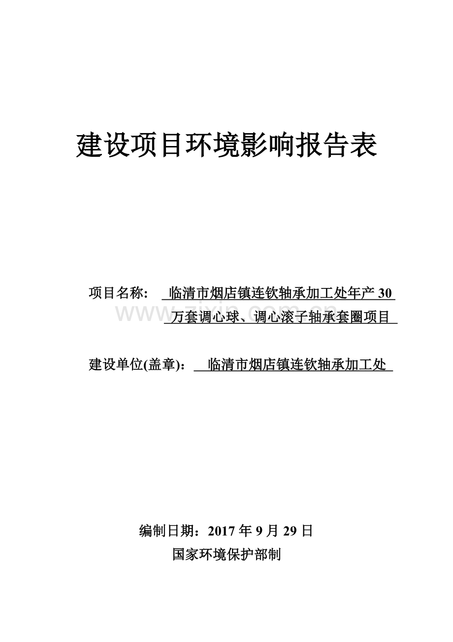 年产30万套调心球调心滚子轴承套圈项目环评报告.doc_第1页