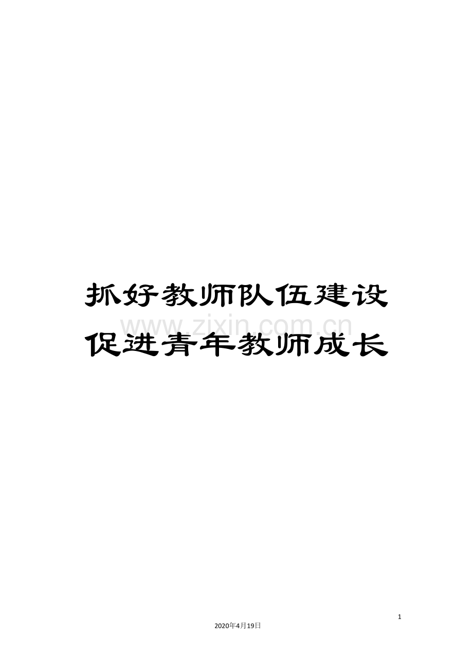 抓好教师队伍建设促进青年教师成长.doc_第1页