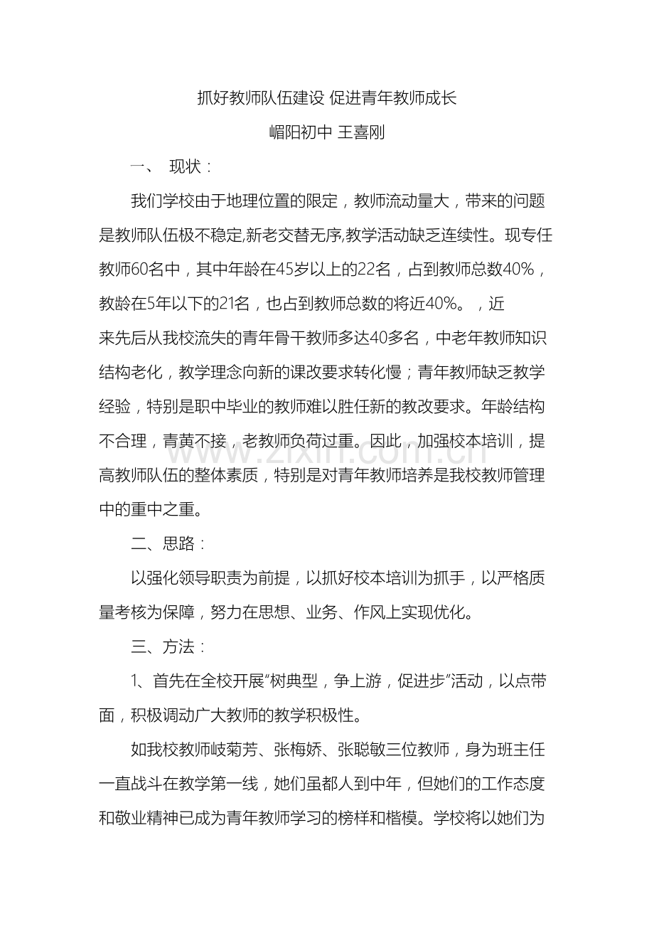 抓好教师队伍建设促进青年教师成长.doc_第2页