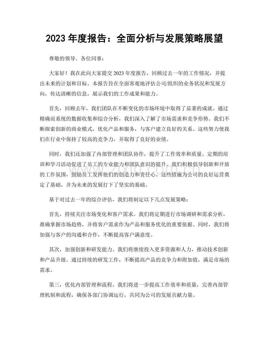 2023年度报告：全面分析与发展策略展望.docx_第1页
