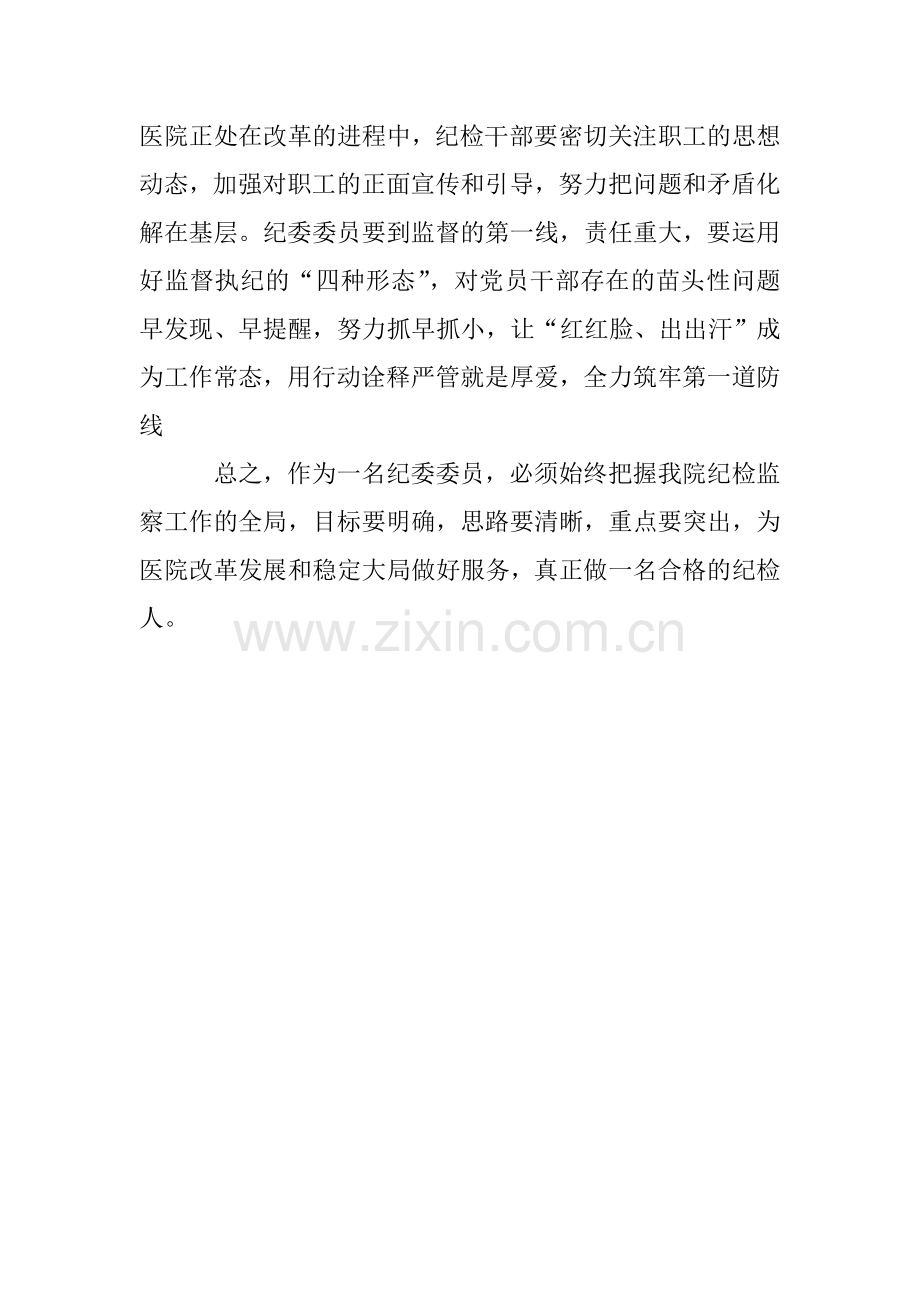 纪检委员个人工作总结.doc_第2页