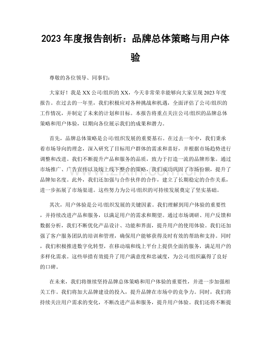 2023年度报告剖析：品牌总体策略与用户体验.docx_第1页