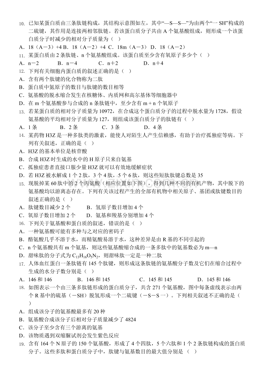 蛋白质相关计算试题(带解析)资料.doc_第2页
