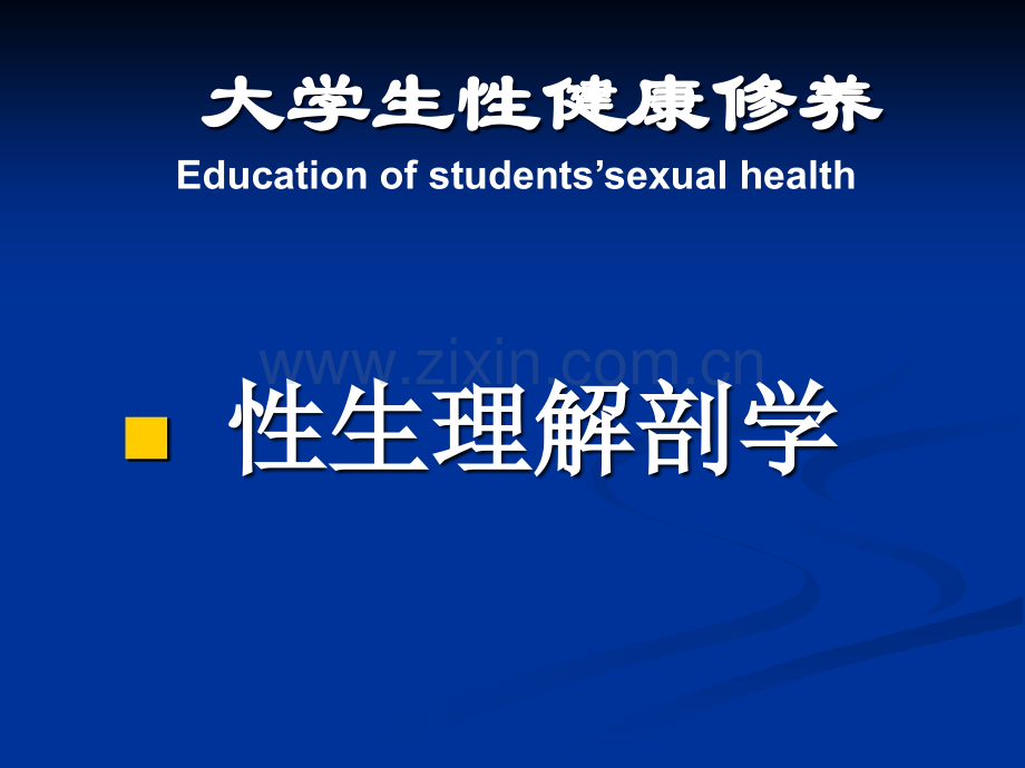 第四章性生理解剖学.ppt_第2页