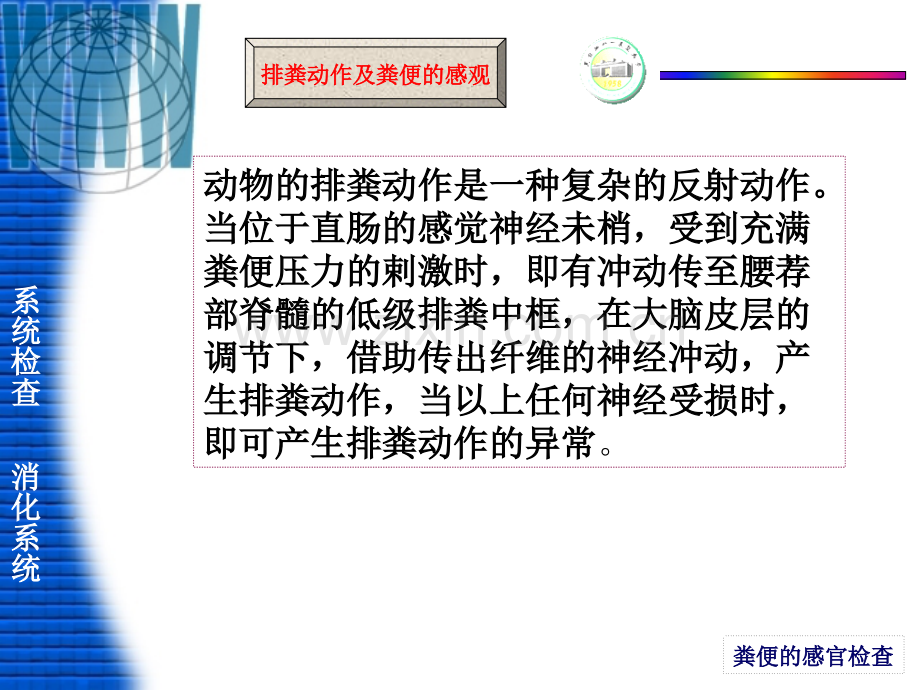 17消化系统检查(第四讲).ppt_第2页