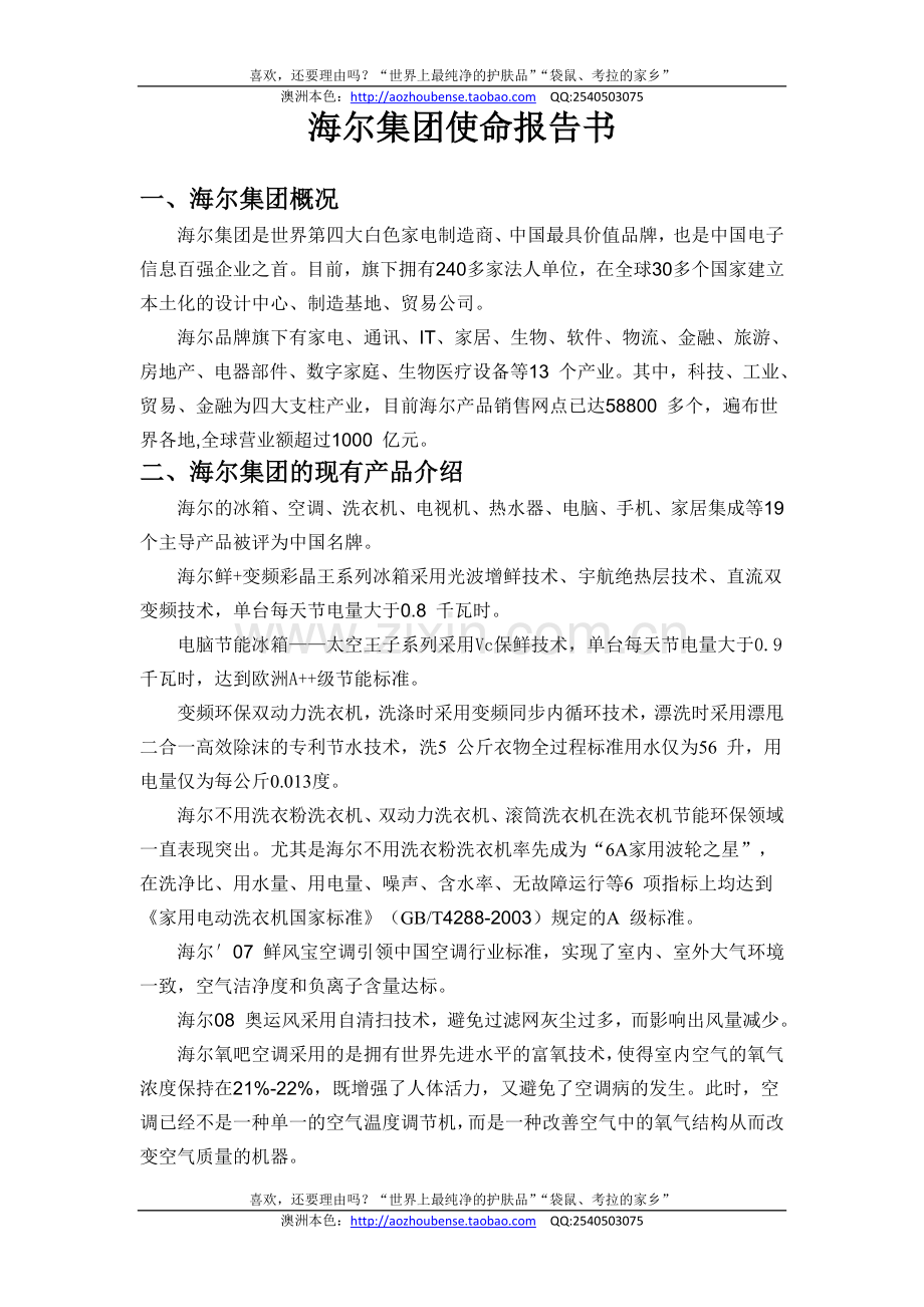 海尔集团使命报告书.doc_第1页