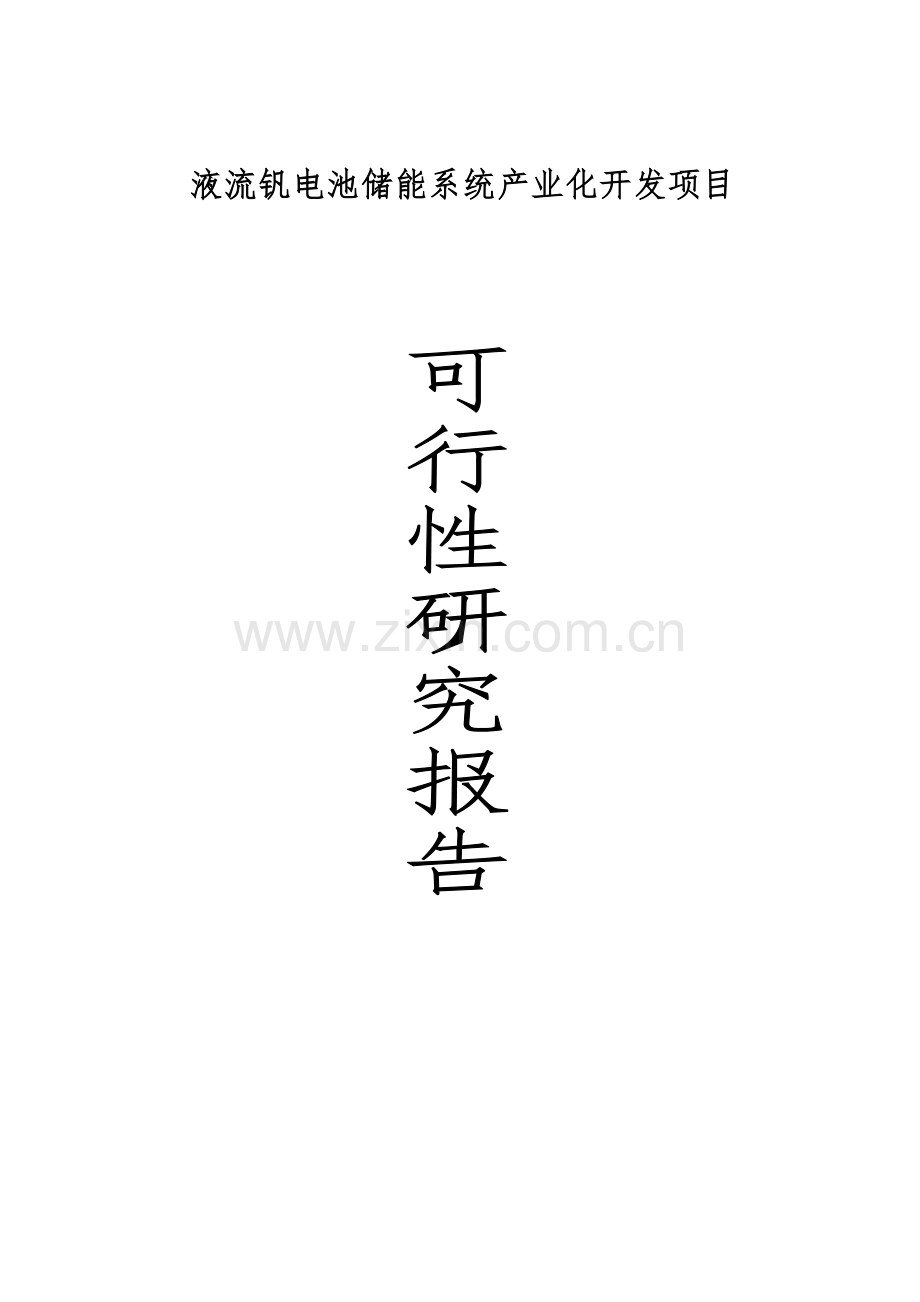 液流钒电池储能系统产业化开发项目可行性研究报告.doc_第1页
