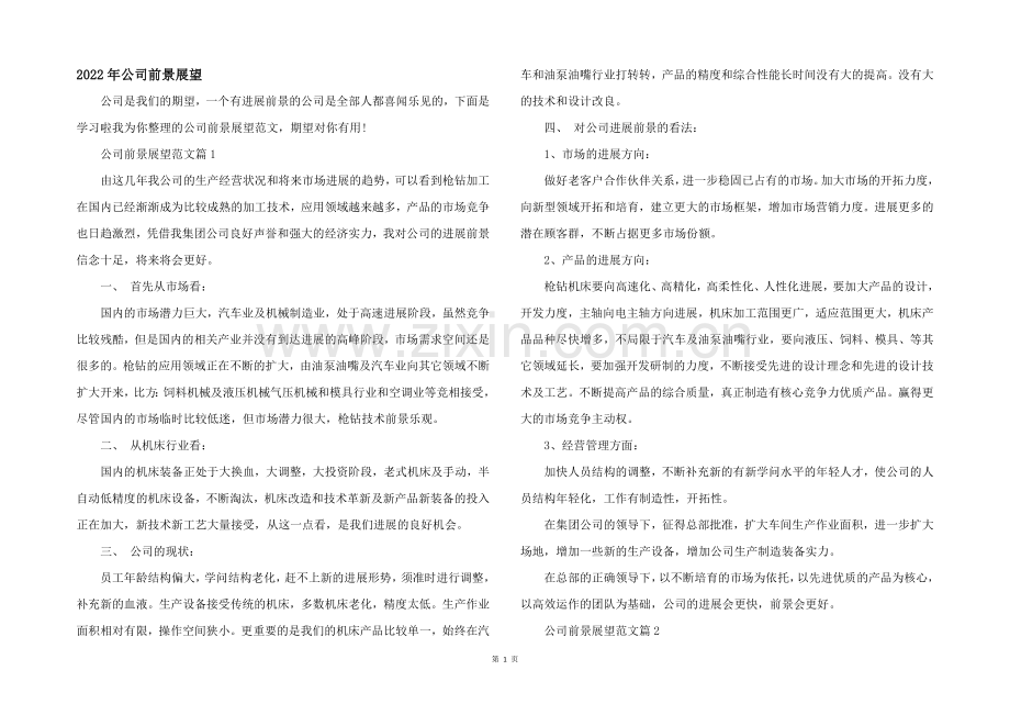 2022年公司前景展望.docx_第1页