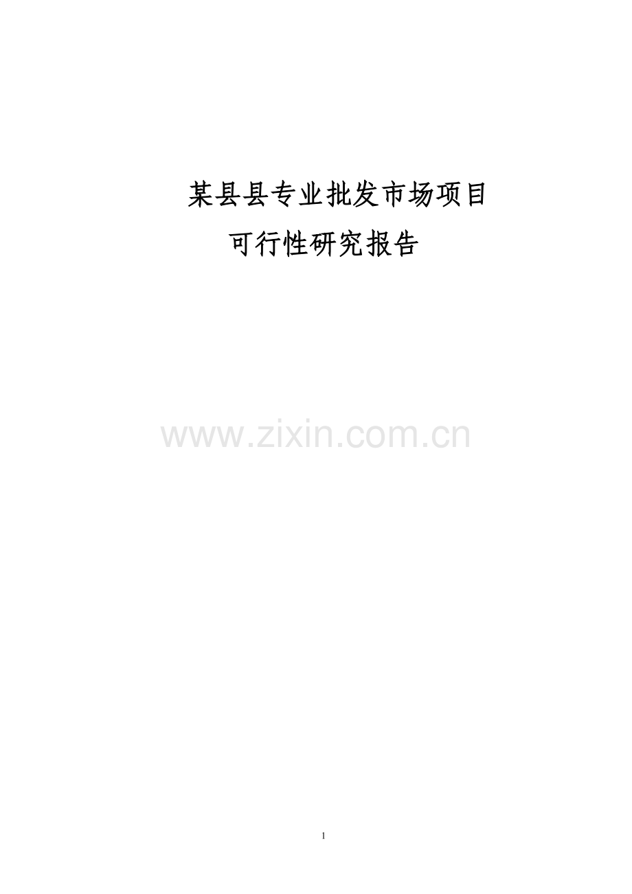 某县专业批发市场项目申请建设可行性研究报告.doc_第1页