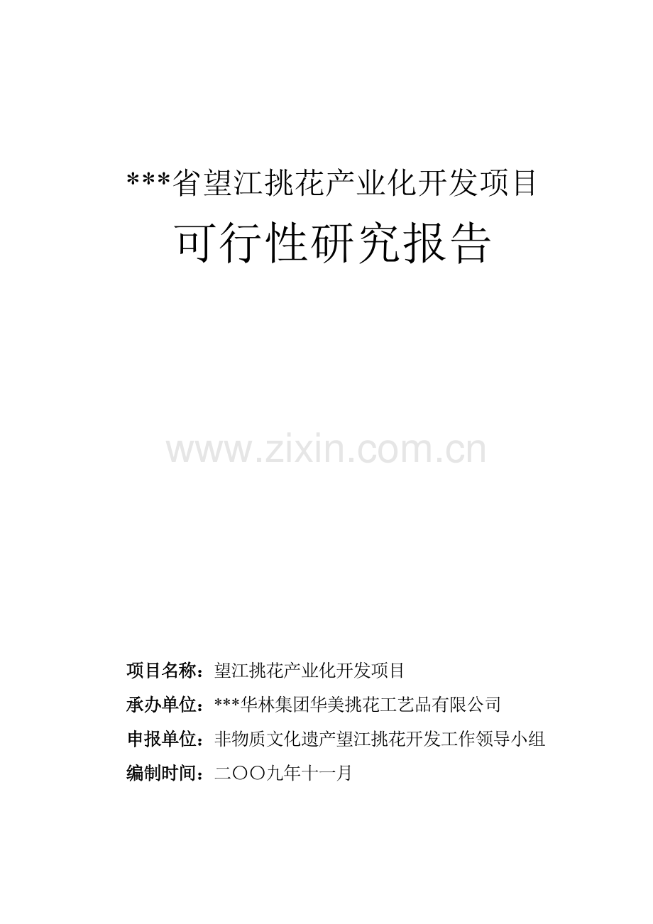 望江挑花产业化开发项目建设可研报告.doc_第1页