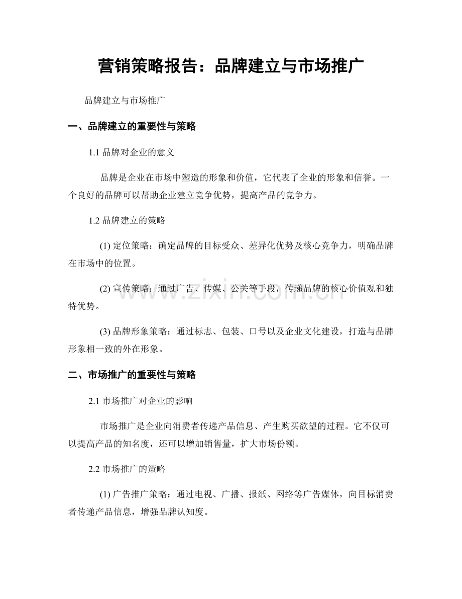 营销策略报告：品牌建立与市场推广.docx_第1页