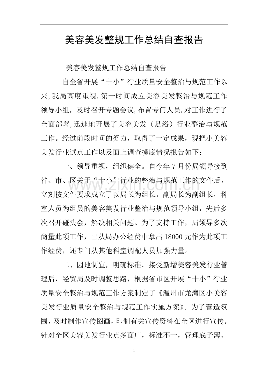 美容美发整规工作总结自查报告.doc_第1页