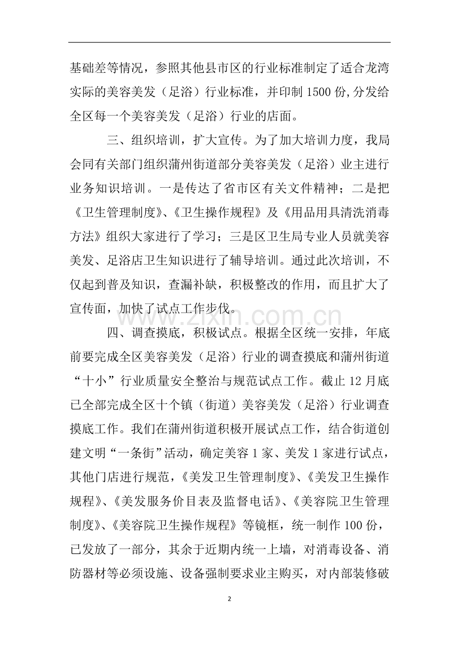 美容美发整规工作总结自查报告.doc_第2页