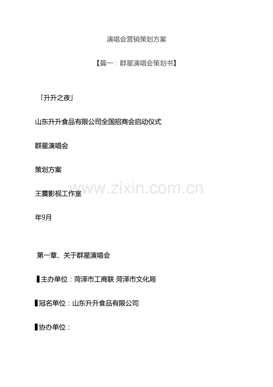 演唱会营销策划方案.docx_第2页