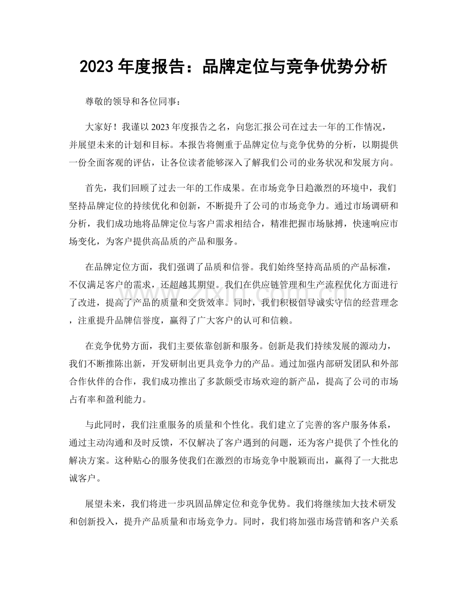 2023年度报告：品牌定位与竞争优势分析.docx_第1页