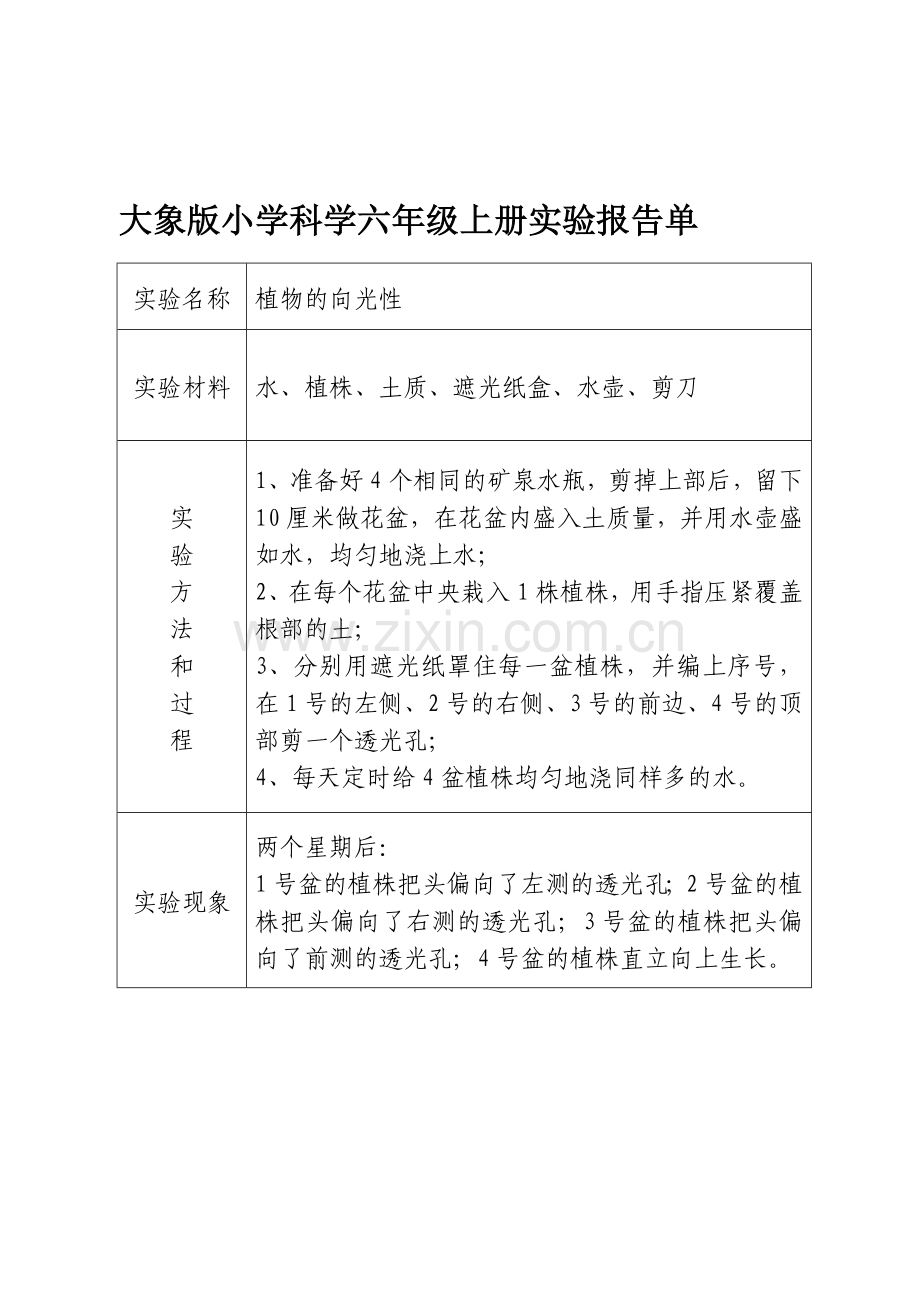 大象版小学科学六年级上册实验报告单汇编.doc_第1页