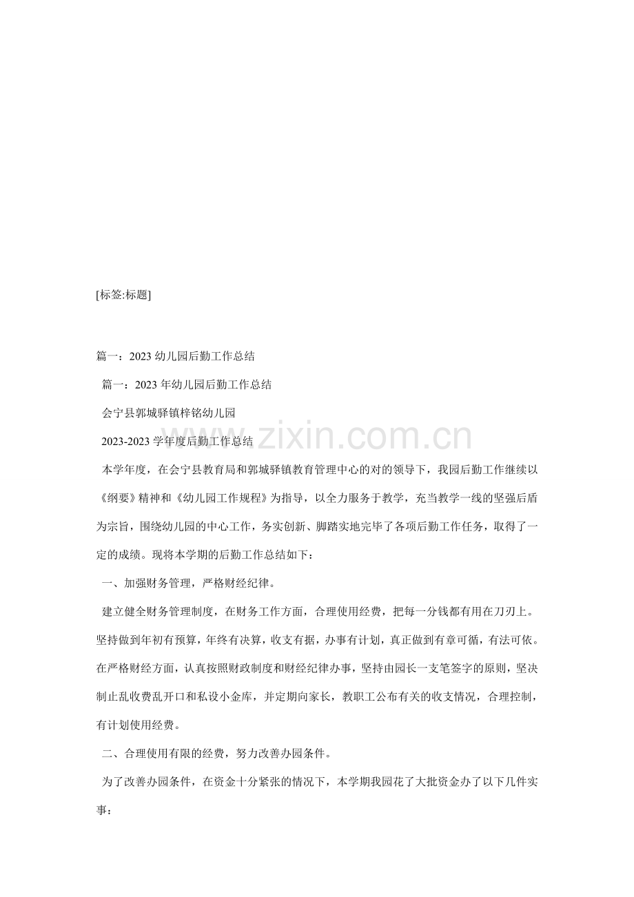 新版幼儿园总务工作总结.doc_第1页