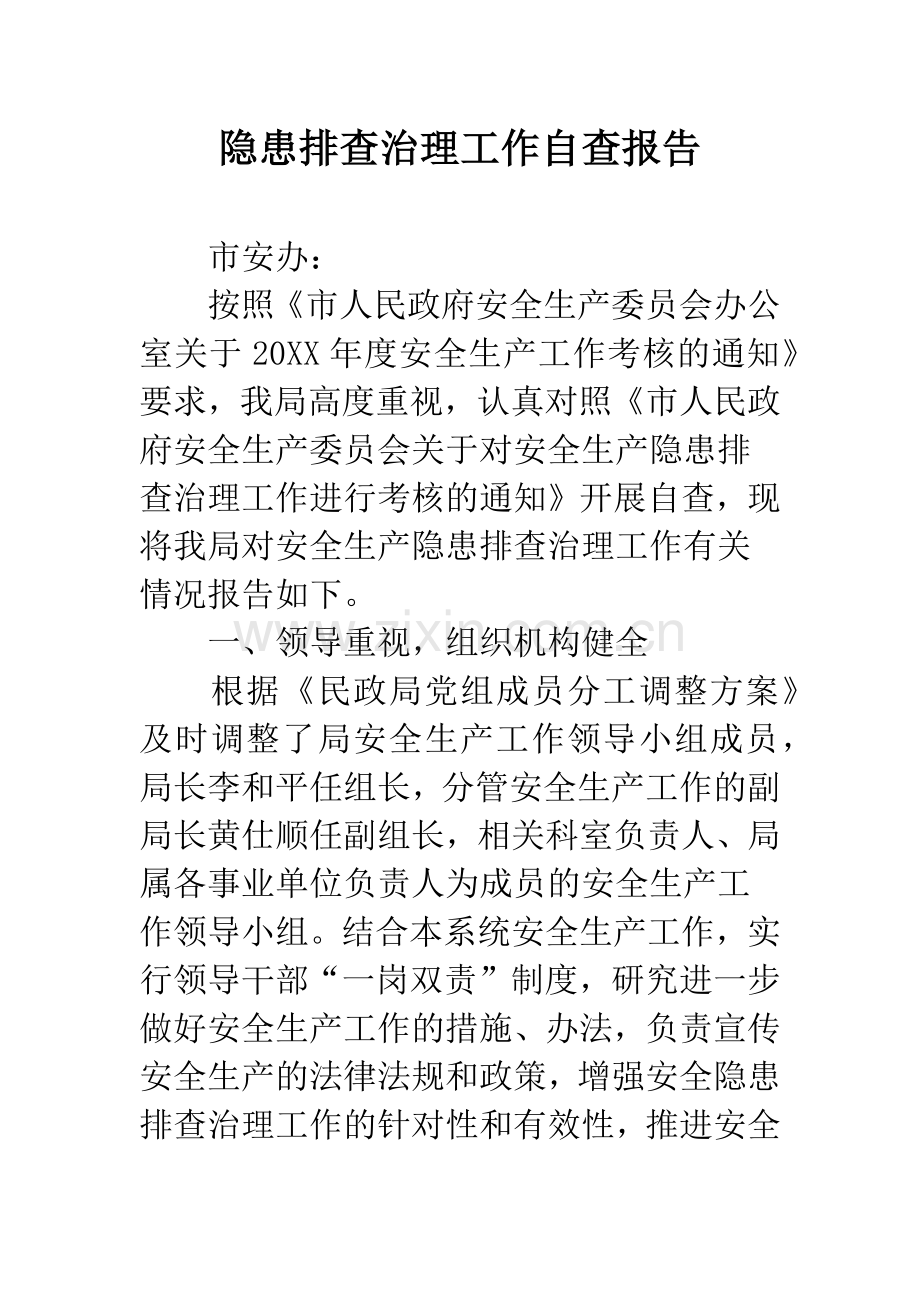 隐患排查治理工作自查报告.docx_第1页
