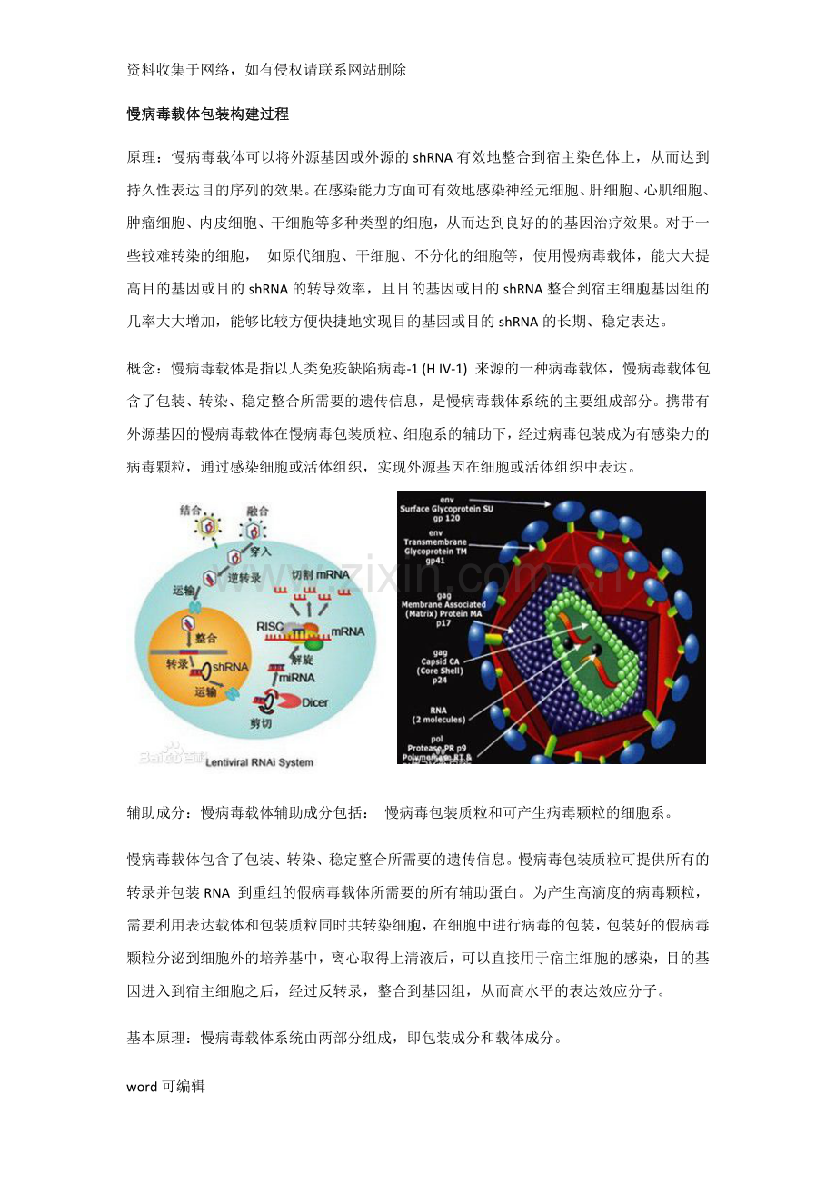 慢病毒载体包装构建过程word版本.doc_第1页
