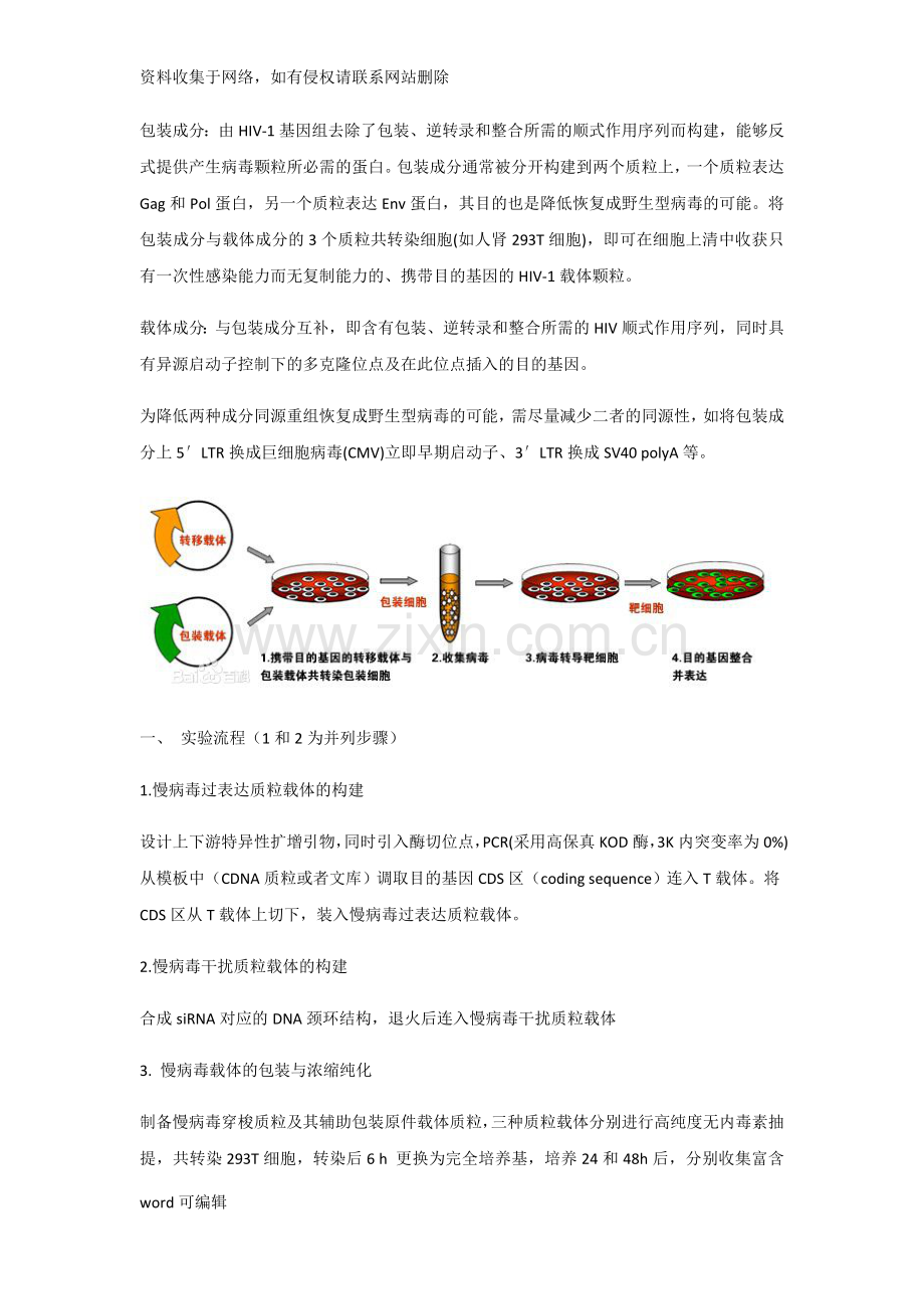 慢病毒载体包装构建过程word版本.doc_第2页