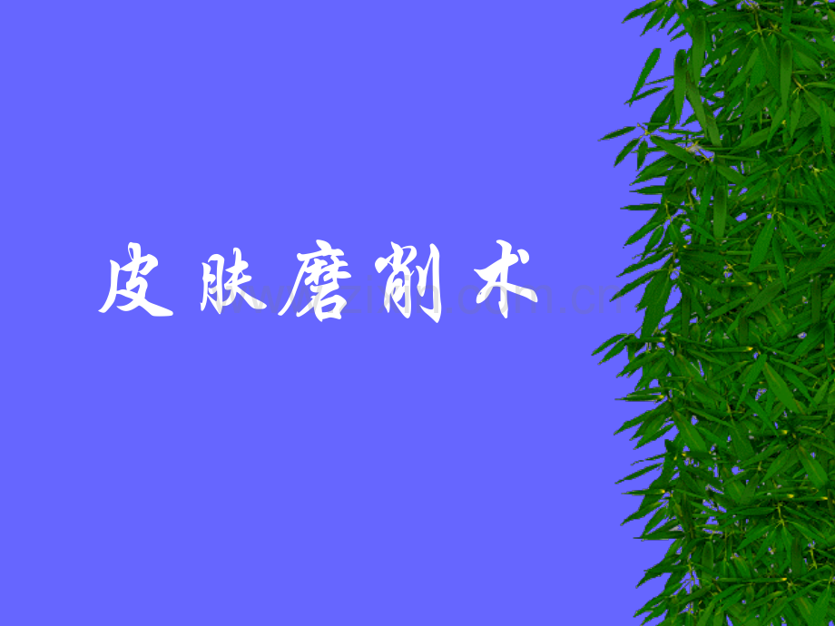 皮肤磨削术.ppt_第1页