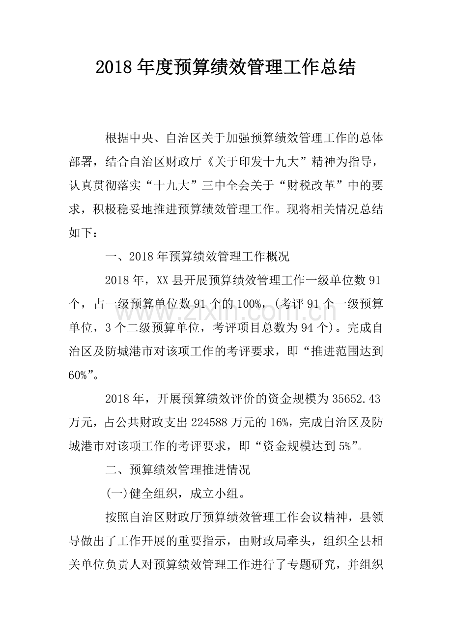 2018年度预算绩效管理工作总结.doc_第1页