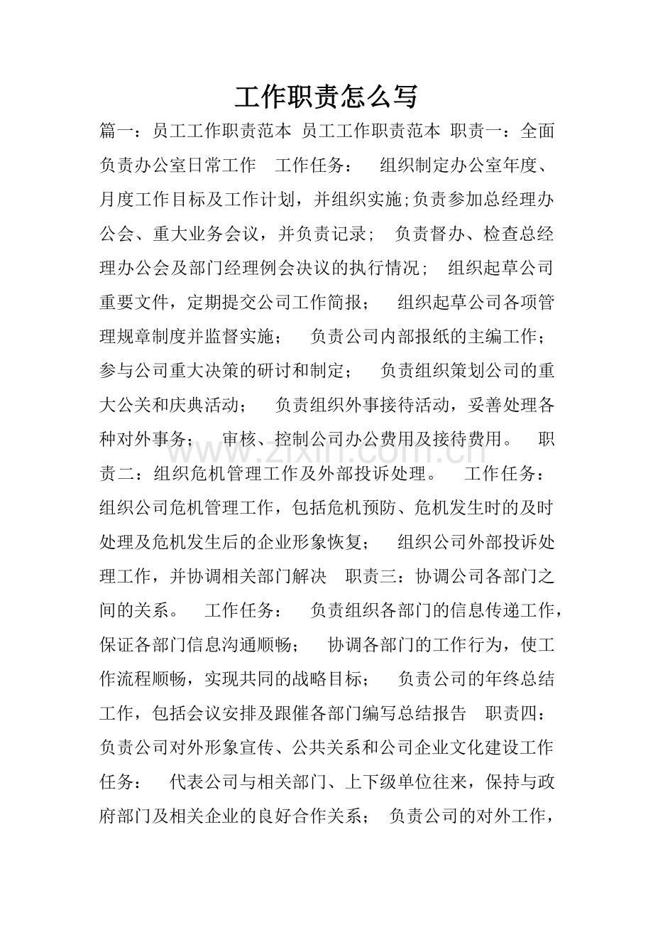 工作职责怎么写.doc_第1页