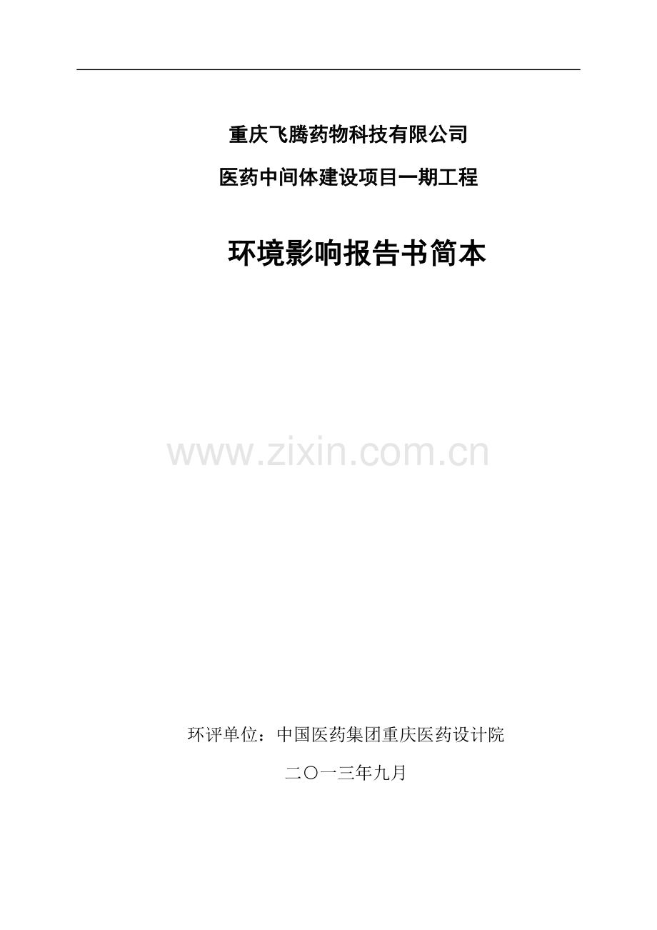 重庆飞腾药物公司医药中间体项目环境影响评价报告书.doc_第1页