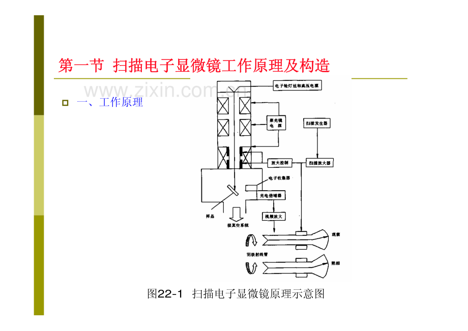 第二十三章 扫描电子显微分析与电子探针.pdf_第2页