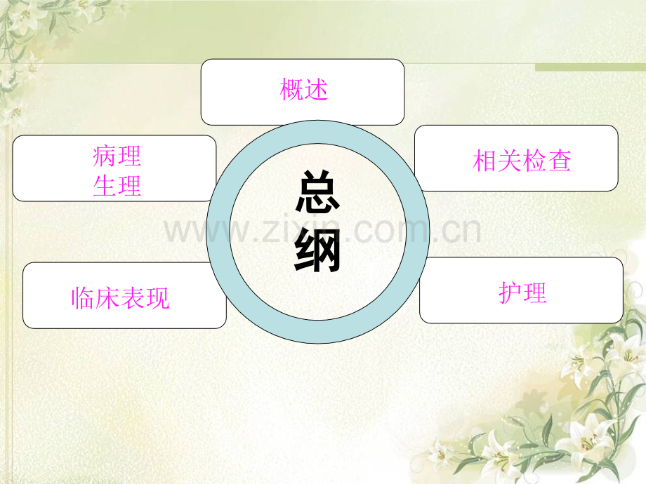 医学席汉氏综合征的医疗医疗护理PPT.ppt_第2页