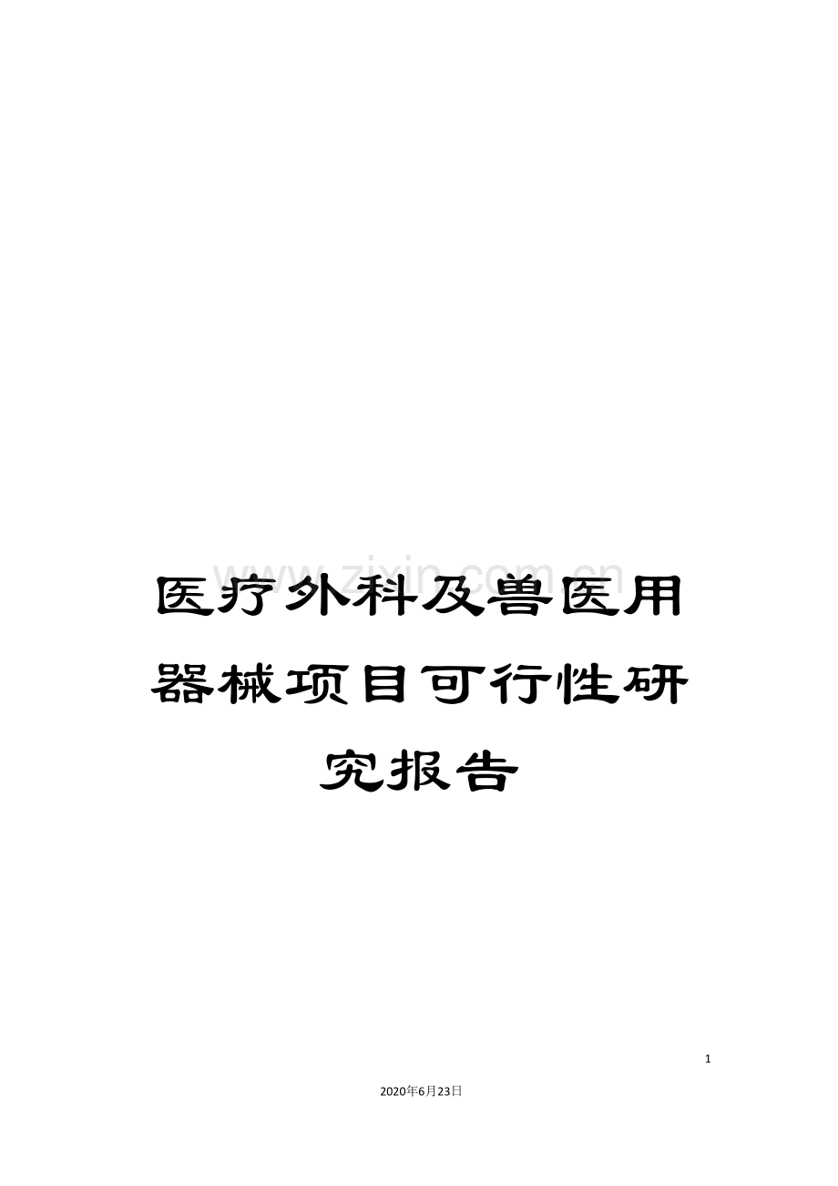 医疗外科及兽医用器械项目可行性研究报告.doc_第1页