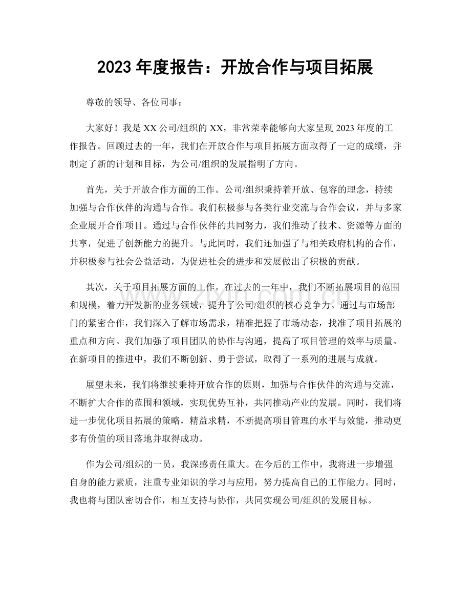 2023年度报告：开放合作与项目拓展.docx_第1页