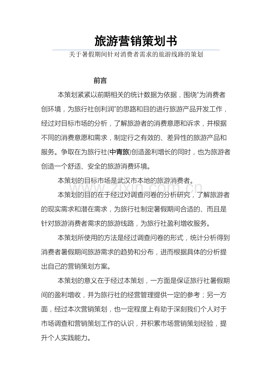旅游市场营销策划方案模板范本.doc_第2页