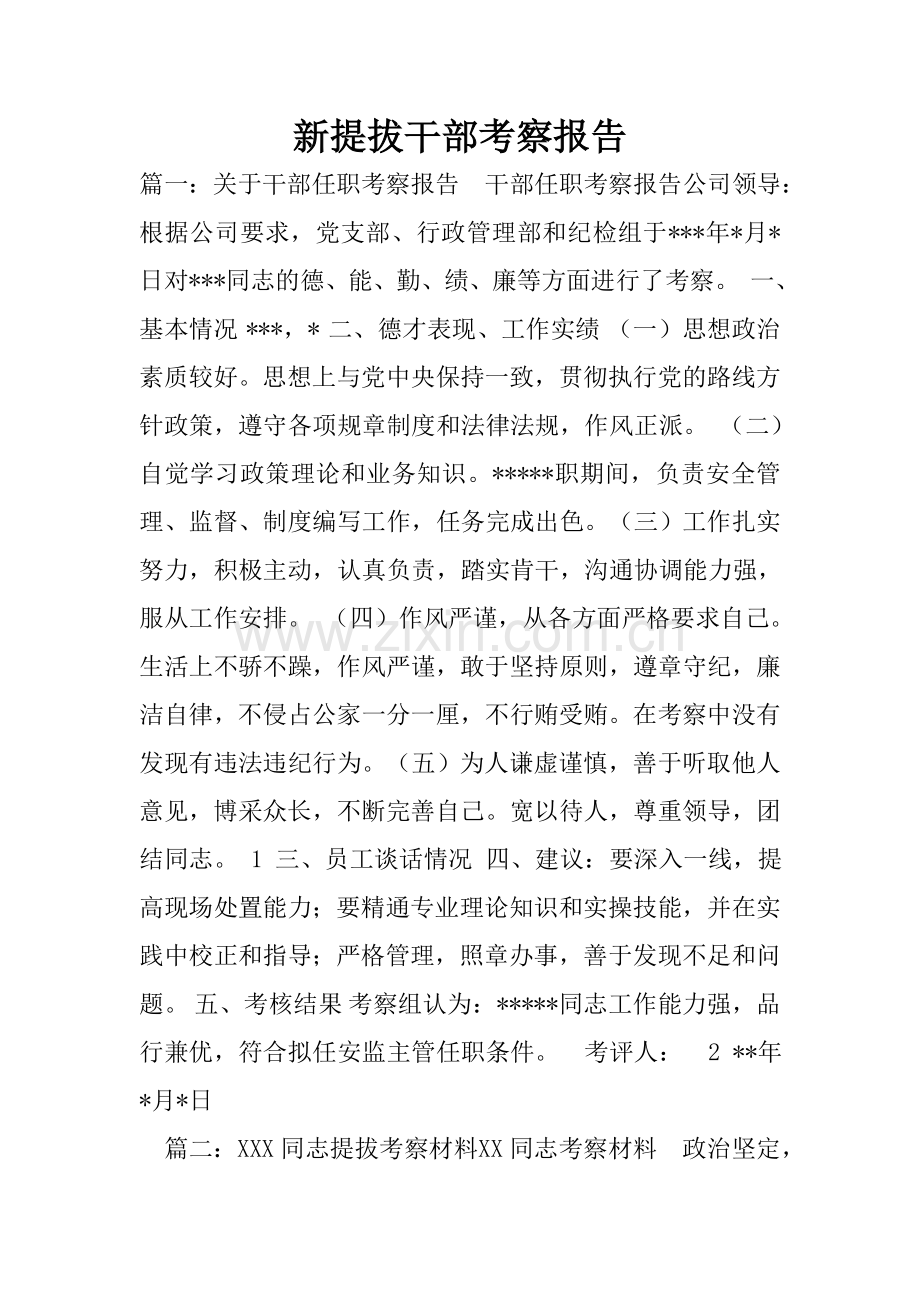 新提拔干部考察报告.doc_第1页
