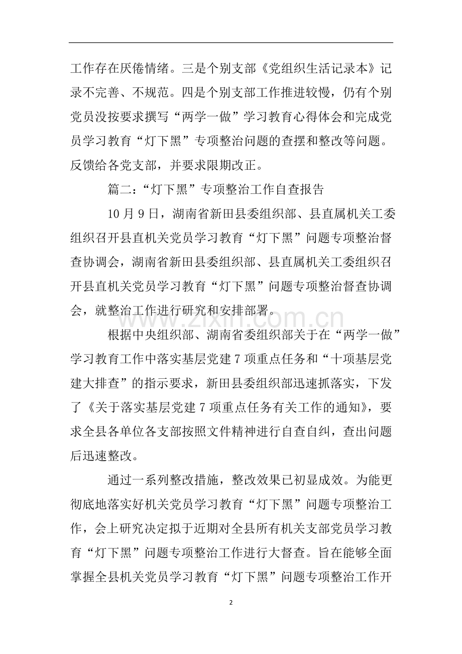 灯下黑专项整治工作自查报告.doc_第2页