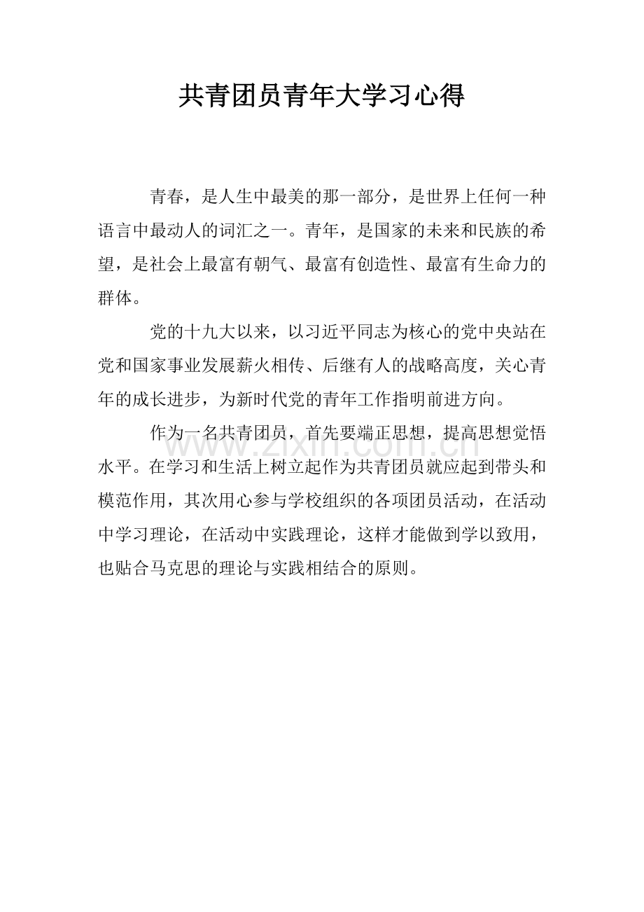 共青团员青年大学习心得.doc_第1页