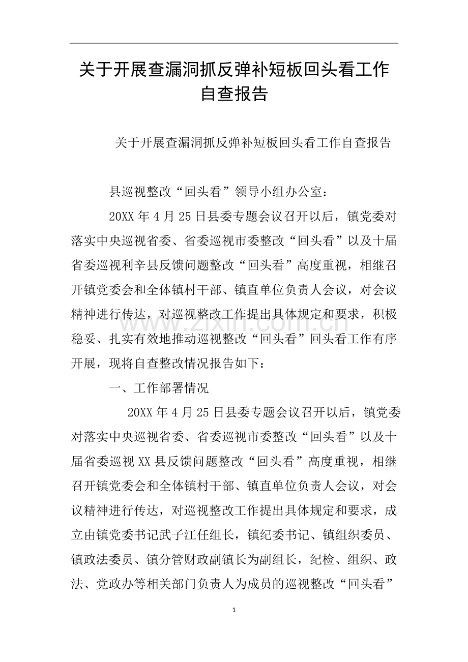 关于开展查漏洞抓反弹补短板回头看工作自查报告.doc_第1页