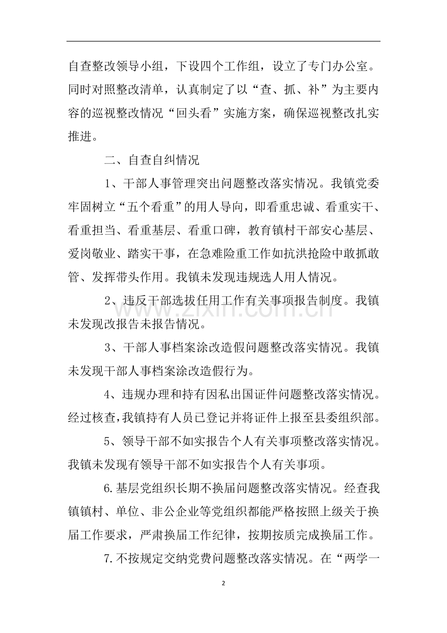关于开展查漏洞抓反弹补短板回头看工作自查报告.doc_第2页