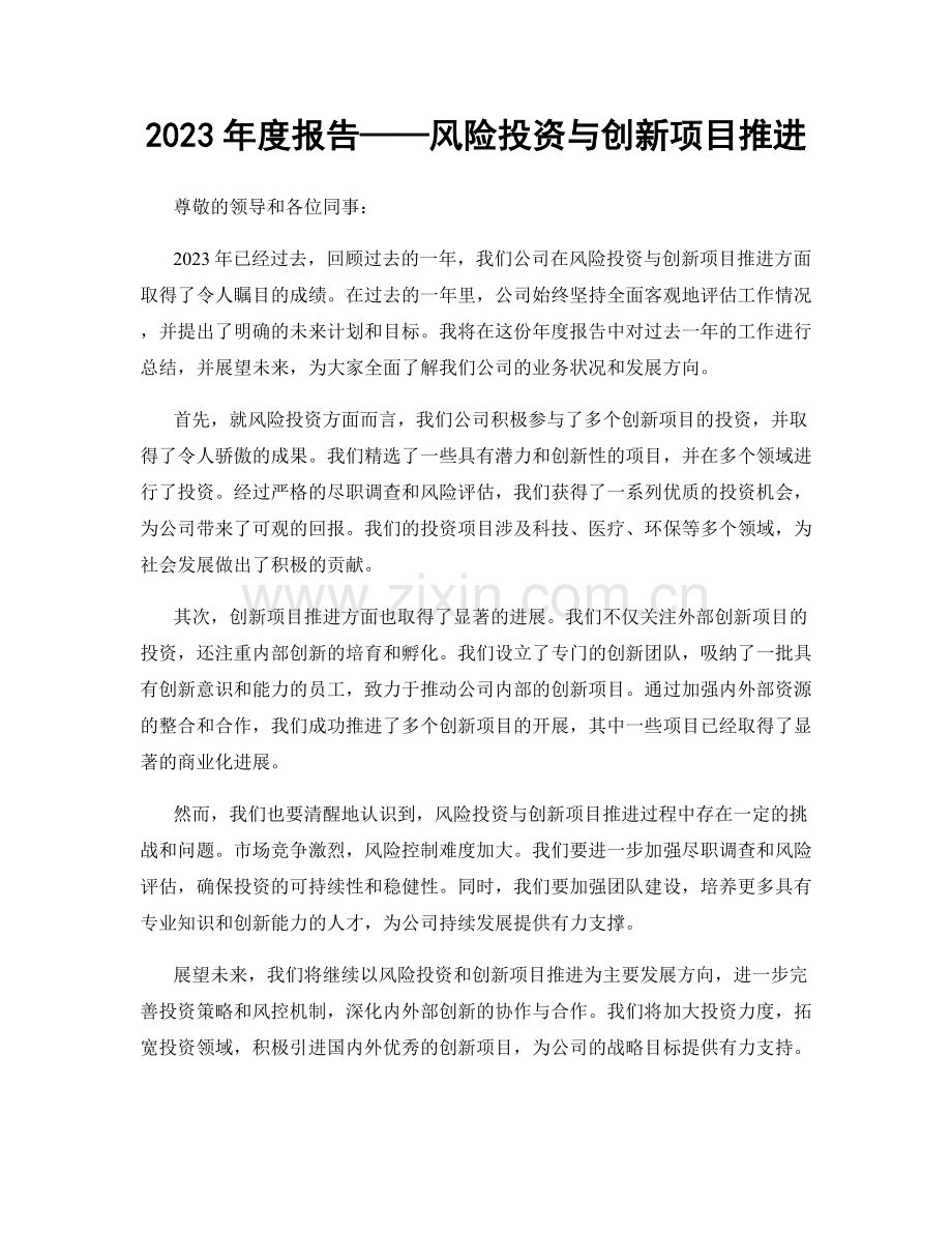 2023年度报告——风险投资与创新项目推进.docx_第1页