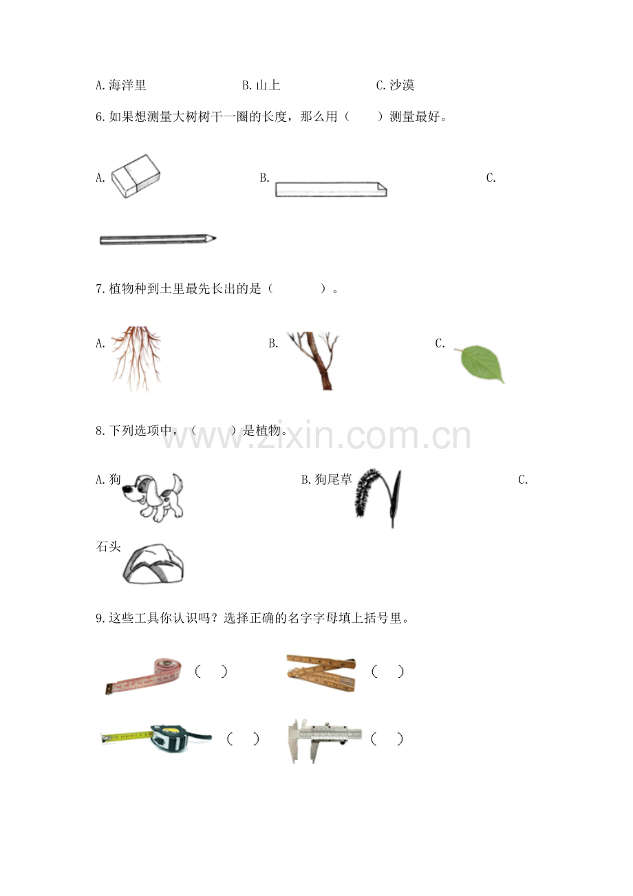 教科版科学一年级上册期末测试卷带答案.docx_第2页