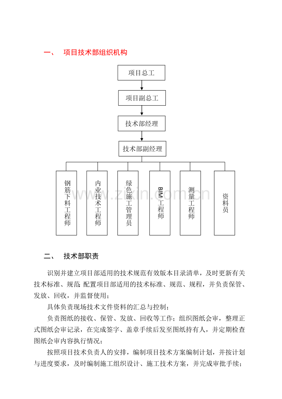 项目技术管理实施计划(模板).doc_第2页