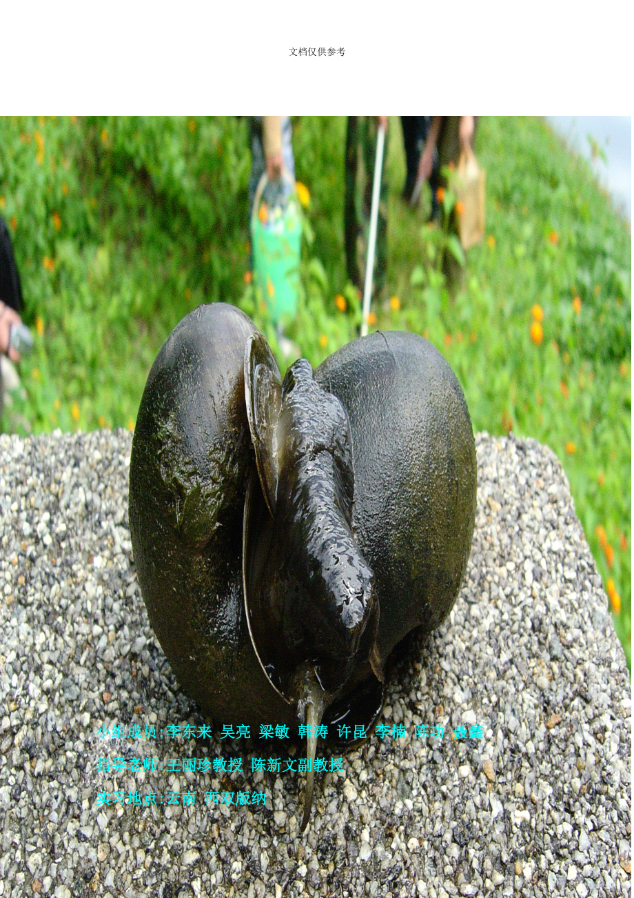 西双版纳软体动物实习调查报告书.doc_第2页