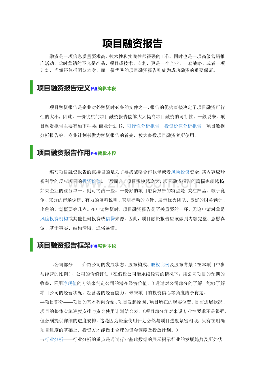 项目融资报告.doc_第1页
