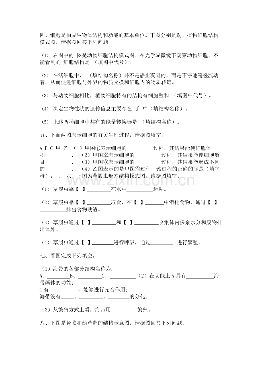 七年级上册生物复习题(图文题).pdf_第2页