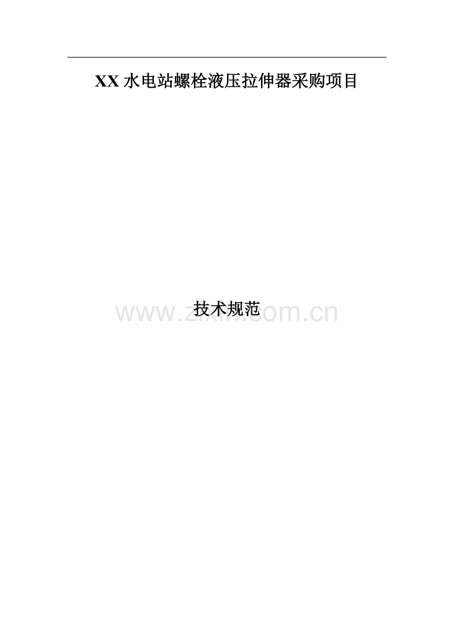 螺栓液压拉伸器采购项目技术规范.doc_第1页