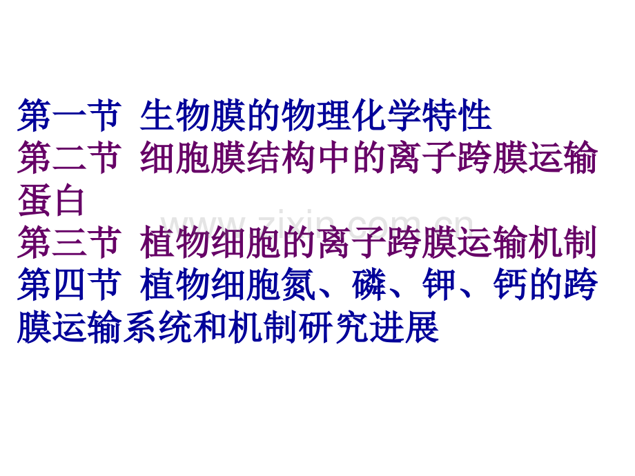 第四章植物细胞跨膜离子运输.ppt_第2页