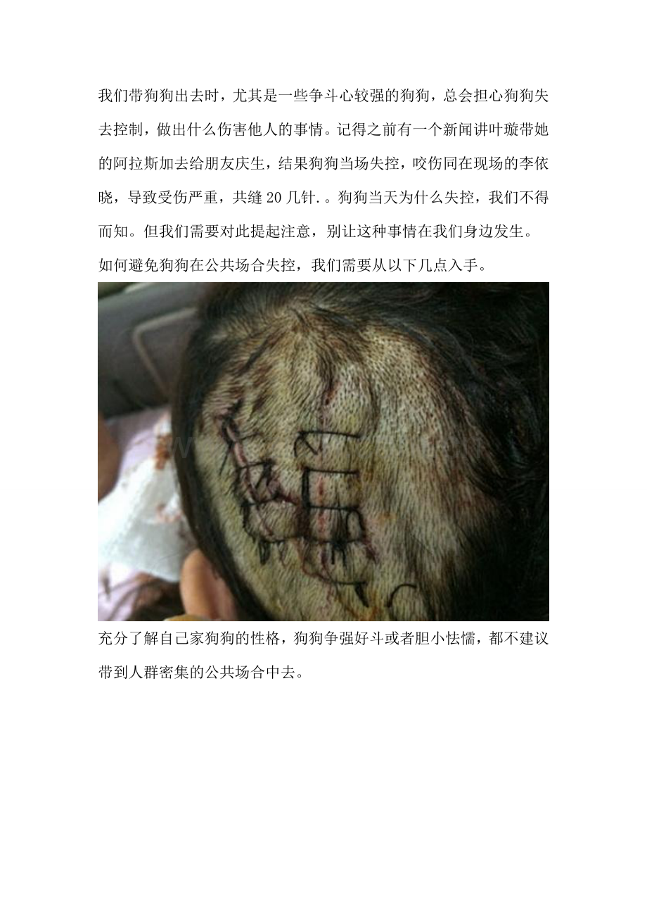 狗狗训练手册——如何避免狗狗在公共场合失控？.doc_第1页