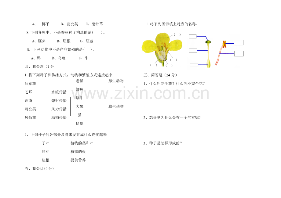 教科版四年级科学下册第二单元测试题.doc_第2页